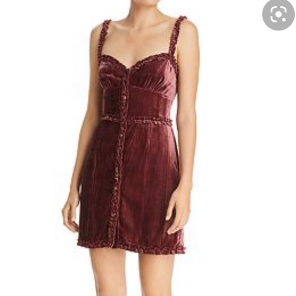 Donna Mizani Red Velvet Mini Dress